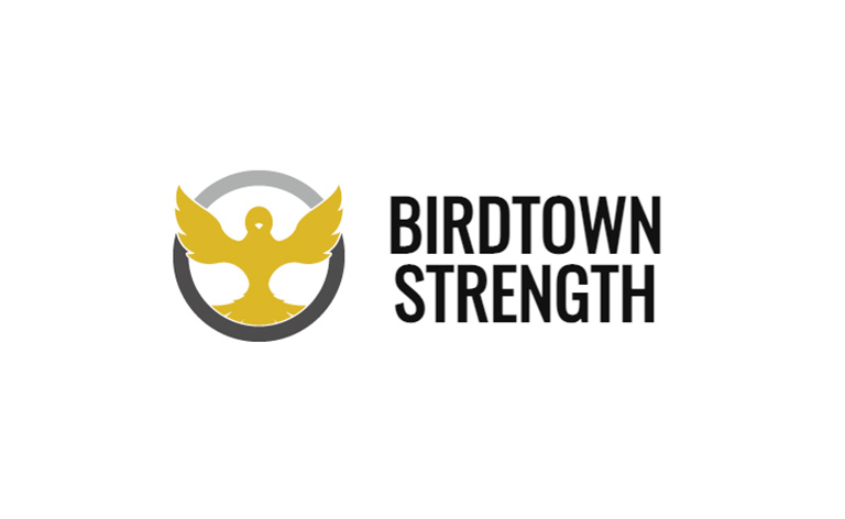 10. Birdtown Strength – Fundamentals Program