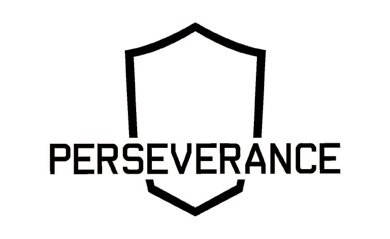 2. Perseverance – Best Boxing Program 